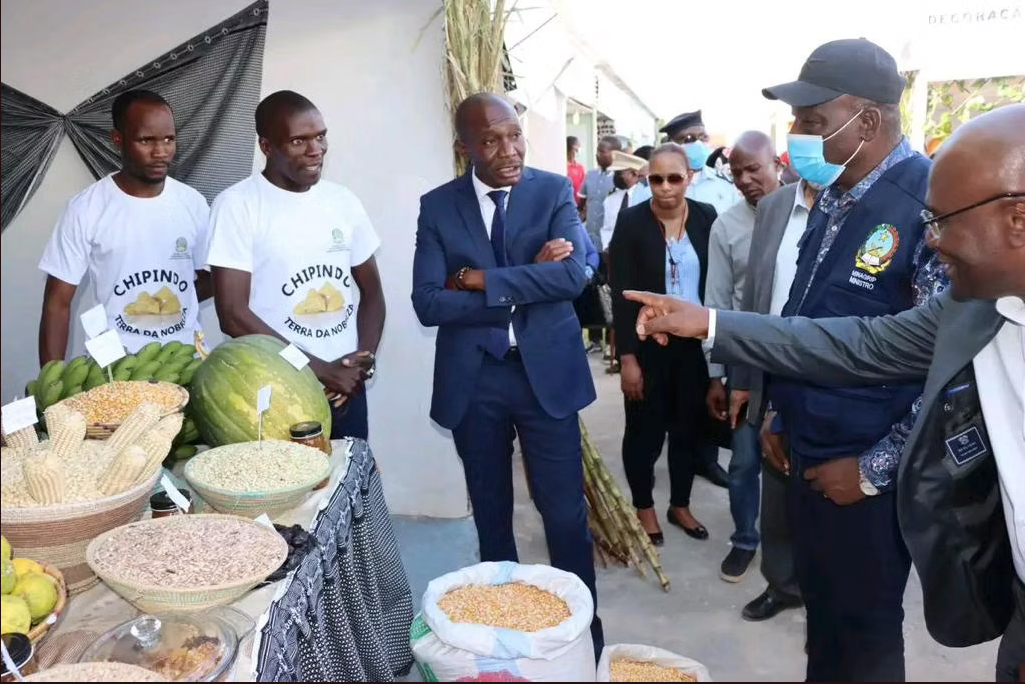 Captura de ecrã 2025-06-27, às 16.48.04