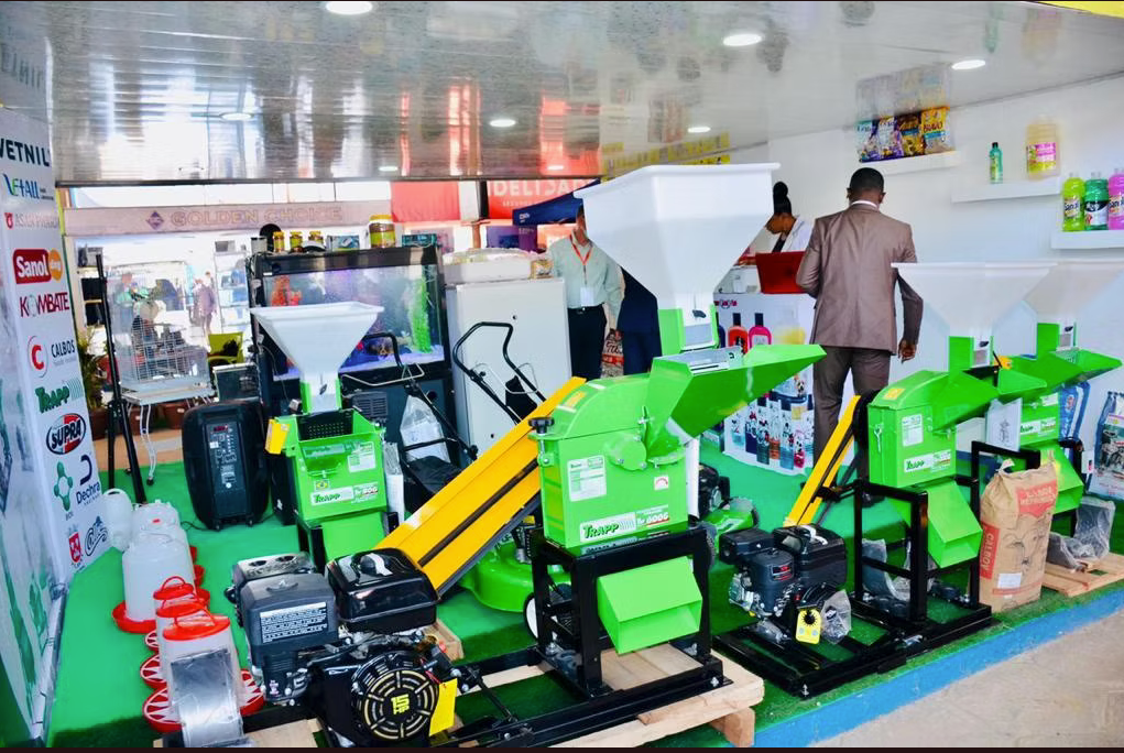 Captura de ecrã 2025-06-27, às 17.08.43